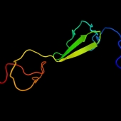chaine 3d collagene type 2