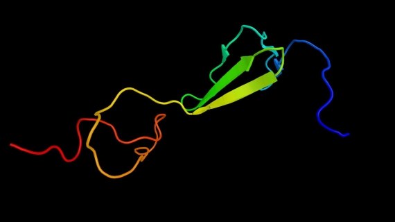 chaine 3d collagene type 2